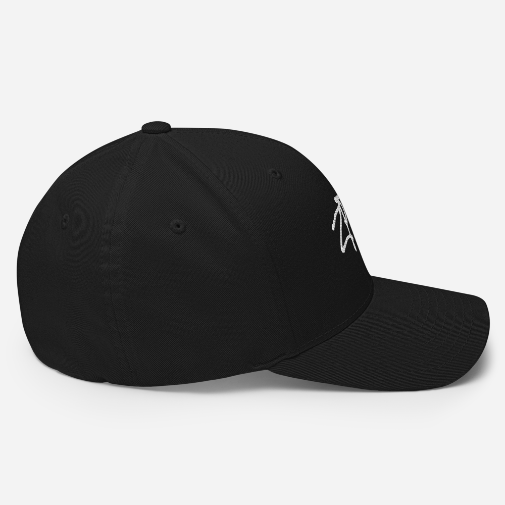 ZPTDB cap